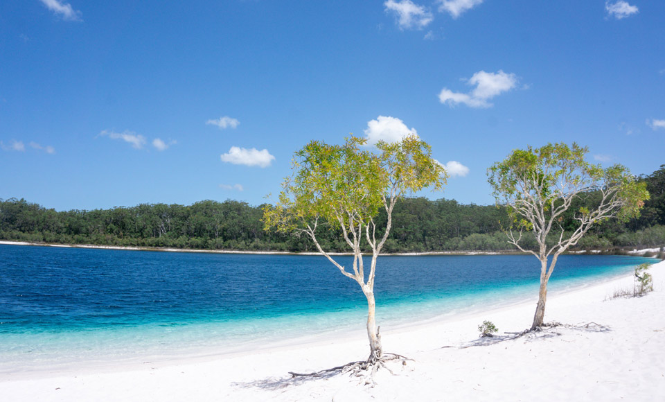 Are you a couple or two friends over 23 years old? Do you want to discover Fraser Island comfortable but don’t want to miss out on the adventure? Our awesome 4WD Camper, with its 2 seats in the front and double bed in the back might be the best option for you! Please note that the 4WD Camper is for maximum 2 people.